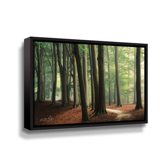 Artwall In the Curve, Gallery Wrapped Floater-framed Canvas by Martin Podt