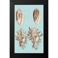 thumbnail image 2 of Vision Studio 12x18 Black Modern Framed Museum Art Print Titled - Sepia And Aqua Shells VII, 2 of 5