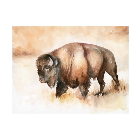 Jennifer Paxton Parker 'Buffalo Roam I' Canvas Art