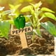 thumbnail image 5 of Wooden Vegetable Plant Label Set | 15-Pack Natural Boxwood Garden Markers | Simple Cartoon Vegetable Pattern | Includes Vegetable Names | Decorative & Durable Plant Stakes, 5 of 9