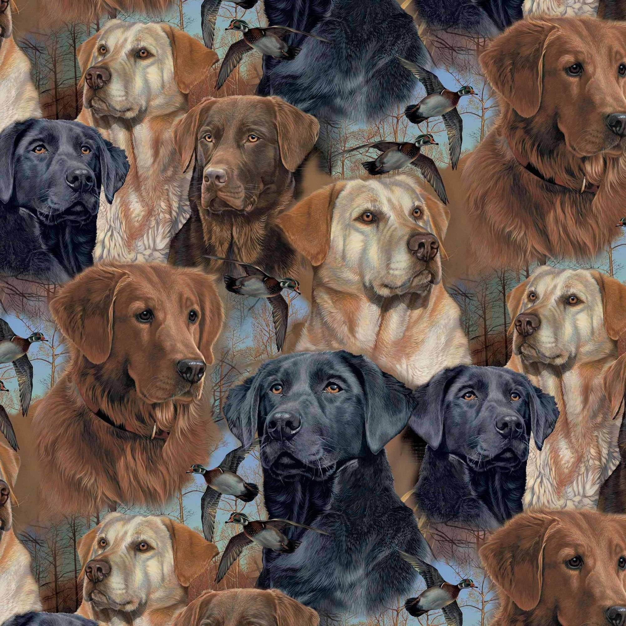 David Textiles Wild Wing Hunting Dogs 60" AntiPill Fleece Fabric