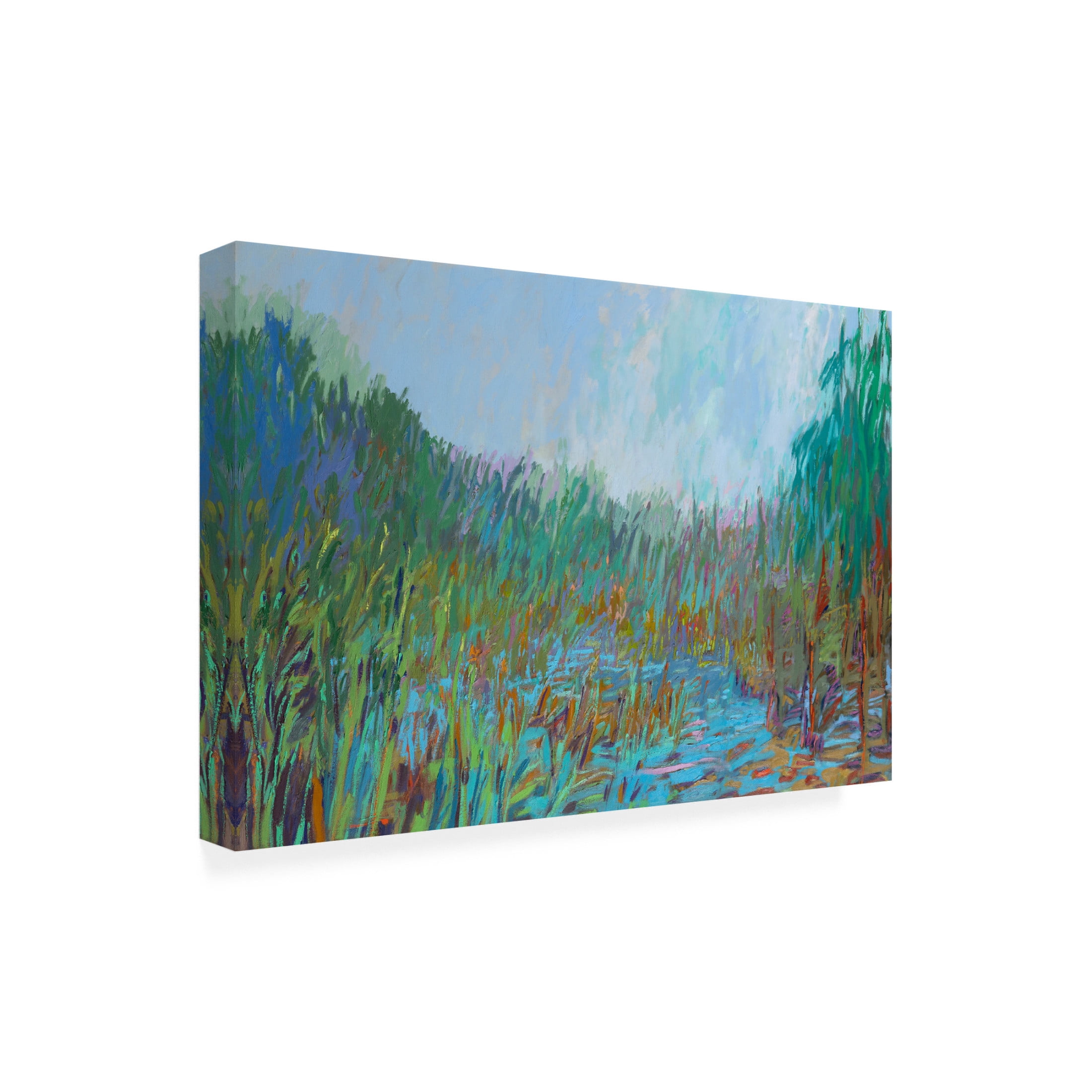 Canvas Wall Art - Jane Schmidt 'The Way Back' Wall Art for Living Room, Bedroom, or Office Décor by Trademark Fine Art - 19 x 12 Inches