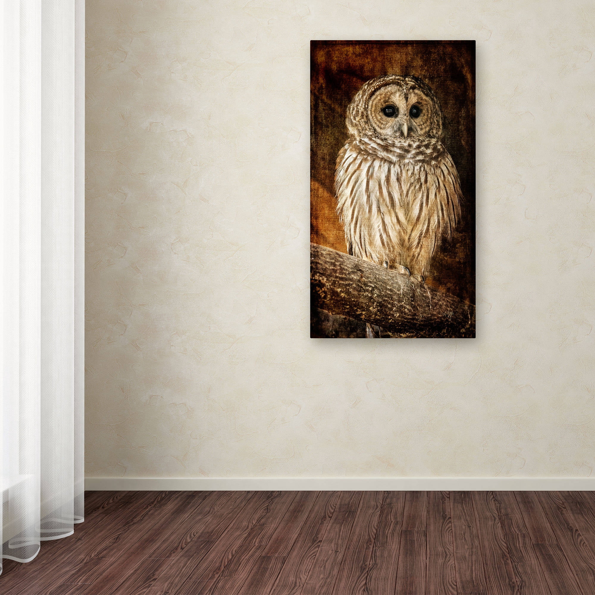 Trademark Fine Art "Wisdom" Canvas Art by Lois Bryan
