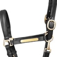 thumbnail image 3 of Hy Leather Head Collar, 3 of 4