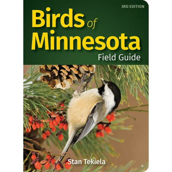 Bird Identification Guides Birds of Minnesota Field Guide, (Paperback)