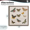 thumbnail image 4 of Stupell Industries Eclectic Antique Butterfly Flight Brown Floating Frame Canvas Art, 18 x 18, by Dan Meneely, 4 of 8