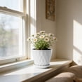 thumbnail image 3 of MKHSQHDG Today's Deals Thickened Water Ripple Pattern with Saucers for Indoor Outdoor Garden And, 3 of 4