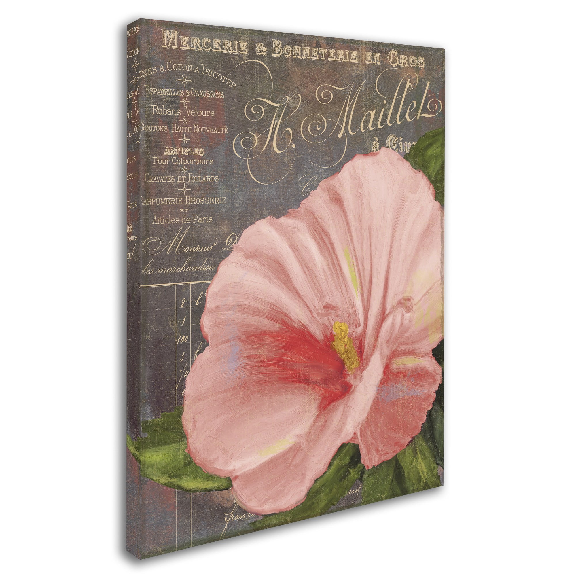 Trademark Fine Art "Peach Hibiscus" Canvas Art by Color Bakery