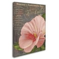 thumbnail image 3 of Trademark Fine Art "Peach Hibiscus" Canvas Art by Color Bakery, 3 of 4
