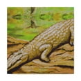 thumbnail image 2 of "Crocodile in the Swamp" - Canvas, 2 of 25
