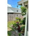 thumbnail image 2 of Galvanized Grey Metal Olive Bucket Pail Style Rain Chain Gutter Downspout Accent, 74 Inches Long - Easy Install - Adding Rustic Charm to Your Outdoor DÃ©cor, 2 of 5