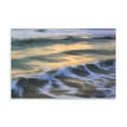 thumbnail image 2 of Gango Home Decor Dream Waves I by Alan Hausenflock (Printed on Paper); One 36x24in Fine Art Paper Giclee Print, 2 of 4