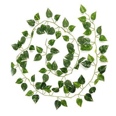 Rattan Fruit Philippines Michellem High-Simulation Leaf Rattan Vine Leaflet Yellow-Green Changchun Wannian Grass Fruit Leaf Vine ()