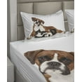 thumbnail image 2 of Ambesonne Animal Fitted & Top Sheet Set with Shams, Cat Dog Friends Portrait, Brown Black White, 2 of 4