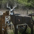 thumbnail image 2 of GlenDel Full Rut Buck Target, 2 of 2