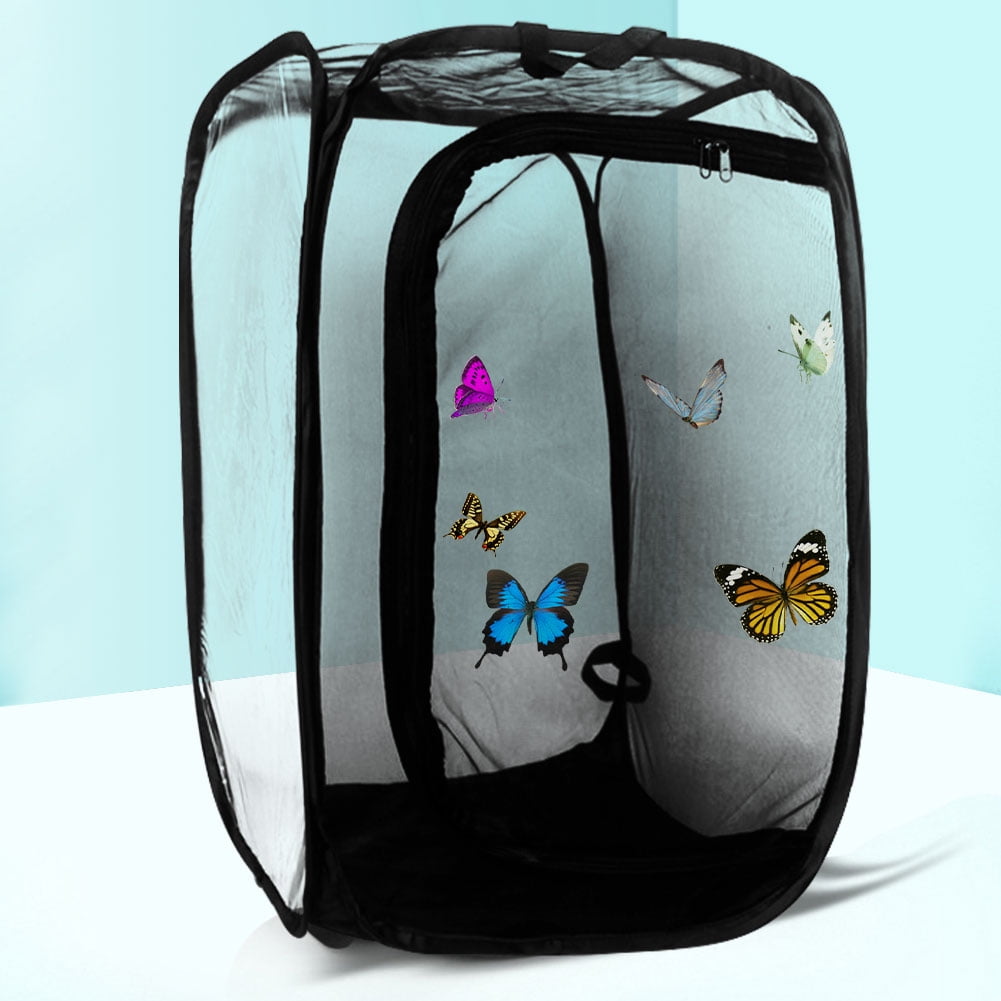 Butterfly Habitat Mini Insect and Butterfly Cage Popup Collapsible