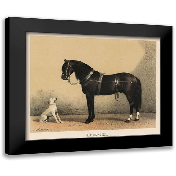 Volkers, Emil 14x12 Black Modern Framed Museum Art Print Titled - Orloffer (Orloff Horse)
