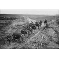 thumbnail image 1 of 24"x36" Gallery Poster, 18 pounder field gun , Canal du Nord, France wwi, 1 of 1