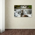 thumbnail image 3 of Trademark Fine Art 'Catching Vibes' Canvas Art by Philippe Sainte-Laudy, 3 of 3