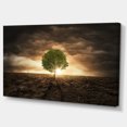 thumbnail image 3 of Design Art - Arbre Solitaire sous Ciel Dramatique, 3 of 4