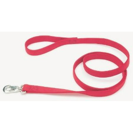 Double Ply Nylon Leashes 1 in. x 6 feet, Red Multi-Colored