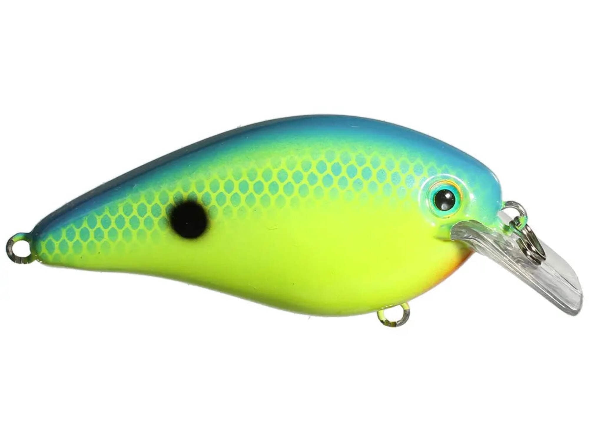 Strike King KVD Square 2.5 Citrus Shad
