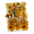thumbnail image 1 of Abbracc 36/37/38/39/42 Pcs Fleurs Séchées Pressées DIY Scrapbook Jaune, 1 of 9