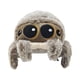 thumbnail image 1 of Juguete peluche animal araña Cgtredaw Suave Regalo para niños, 1 of 9