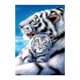 thumbnail image 1 of Tigre Madre Hijo DIY Taladro completo Diamantes de imitación redondos Pintura de diamantes Kits de bordado Costura Conjunto Punto de cruz Mosaico Arte Artesanía Decoración para el hogar Regalo FLhrweasw Nuevo, 1 of 9