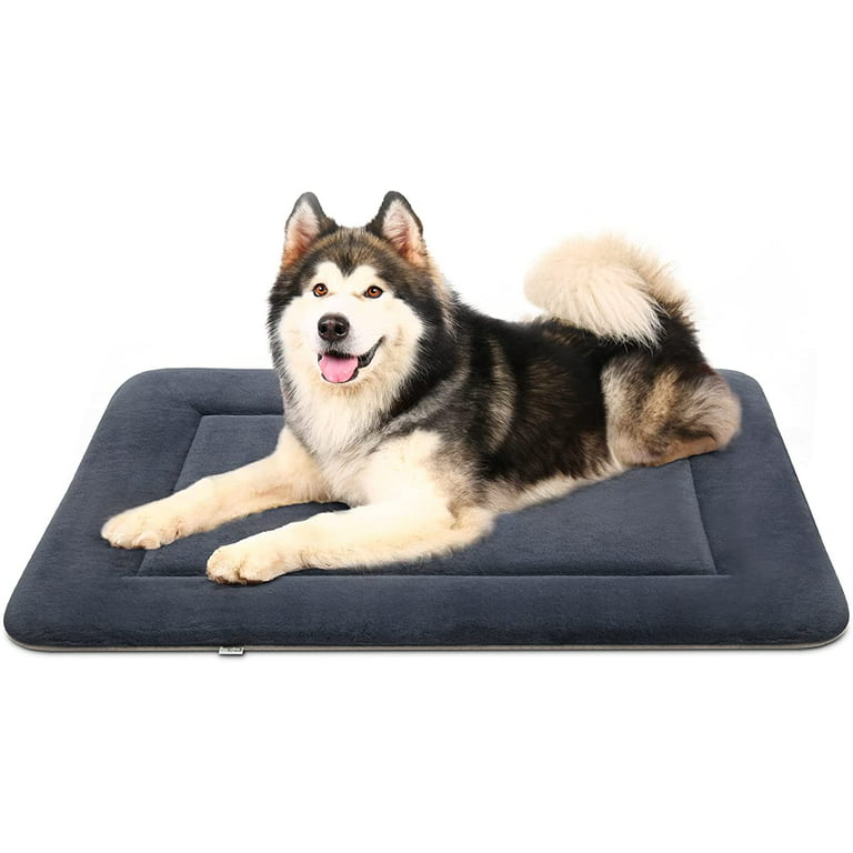 Dog Bed Mat Dog Crate Pad Washable Dog Mattress Pets Kennel Pad for Large  Medium Small Dogs and Cats, 30 x 20, 1/4 Thik Blue