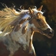 thumbnail image 3 of Hawley, Carolyne 12x12 Black Modern Framed Museum Art Print Titled - Spirit Horse, 3 of 5