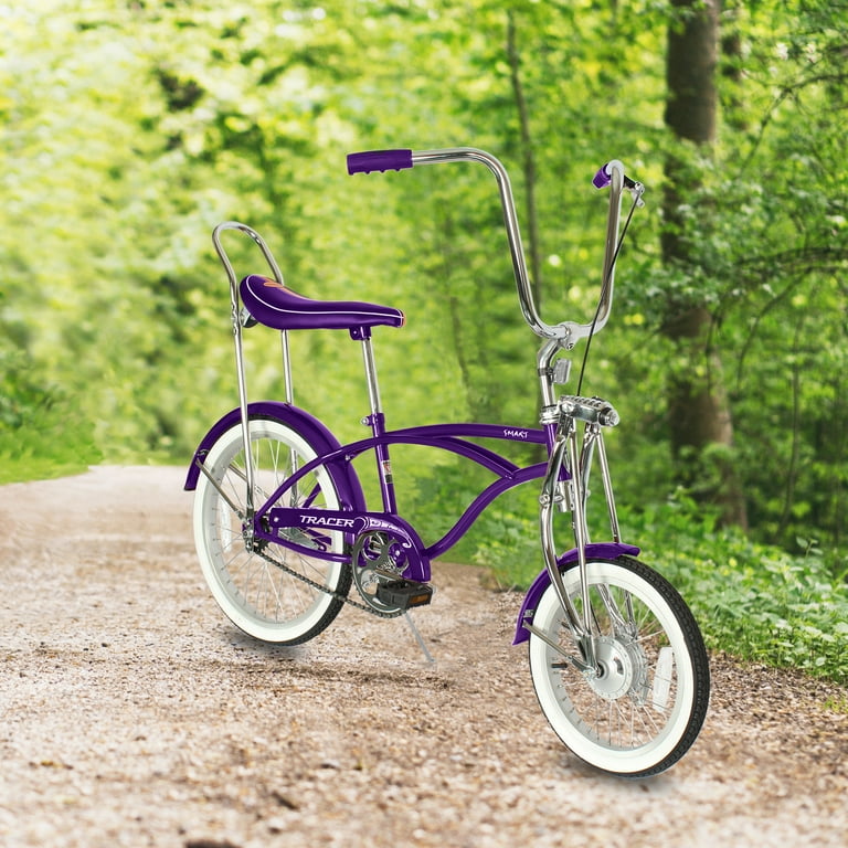 Tracer Smart 20 inch Lowrider Bike,Retro Banana Seat,Purple,Beach