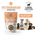 thumbnail image 4 of Canine Cravers Single Ingredient Dog Treats – Premium Lamb Fillets - Human Grade Air Dried Hypoallergenic Pet Food – Grain, Gluten, and Soy Free – 100% All Natural – 5.3 oz Bag, 4 of 8
