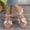 Beige, variant on Women's Bohemian Beaded Wedge Sandals Crisscross Straps Open Toe Roman Shoes Beach Vacation Daily Commute Shopping Casual Footwear Black 35