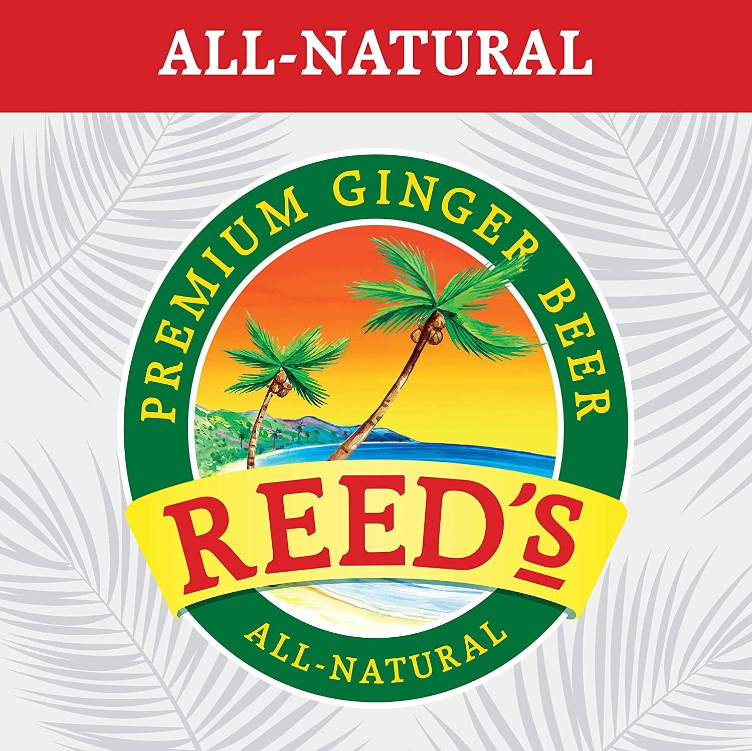 (Pack of 6) Reeds Soda 4-Pack Ginger Extra Zero 48 Fo
