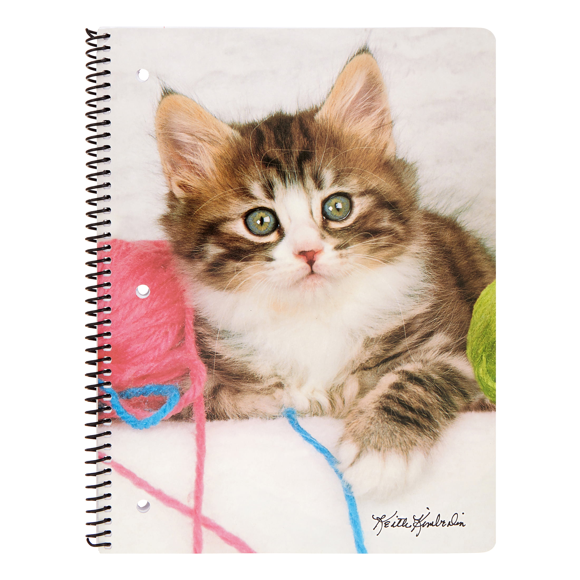 Funny Cat Hiss Rock And Roll For Cat Lover Spiral Notebook