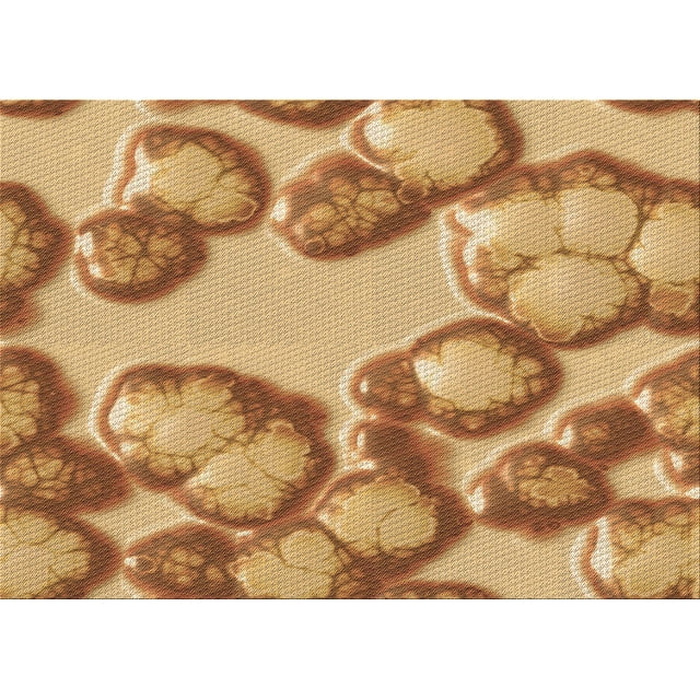Ahgly Company Tapis Rectangulaire Orange Lavable en Machine, 4 Pieds x 6 Pieds