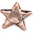 thumbnail image 3 of Bandeja de acero inoxidable Anillo de estrella de metal Collar Organizador de joyas (oro rosa),11 Feliz Sencillez, 3 of 3