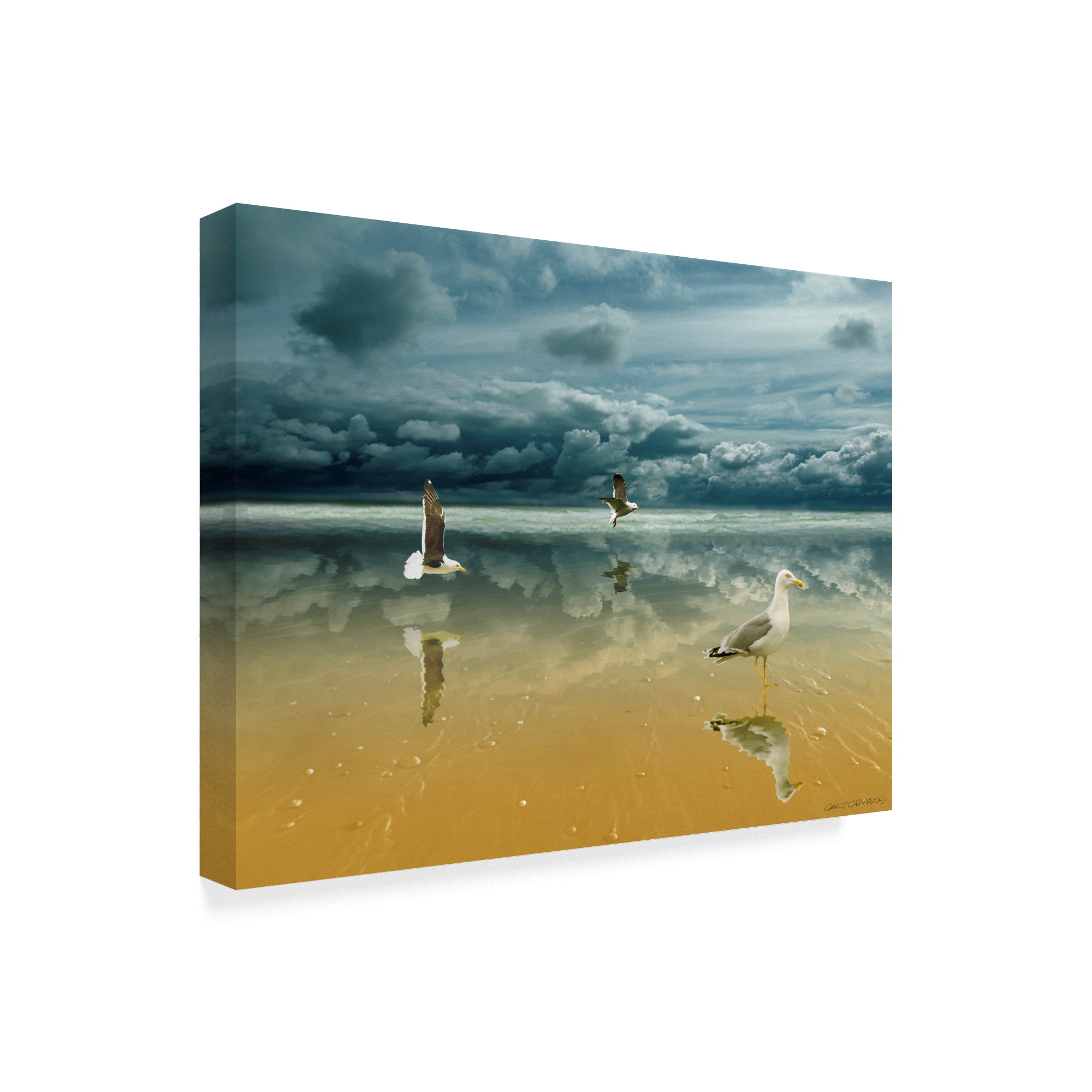 Trademark Fine Art 'Seagulls On The Beach' Canvas Art by Carlos Casamayor