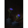thumbnail image 2 of Dingemans, Saskia 17x24 Black Ornate Wood Framed with Double Matting Museum Art Print Titled - Electric Blue., 2 of 4