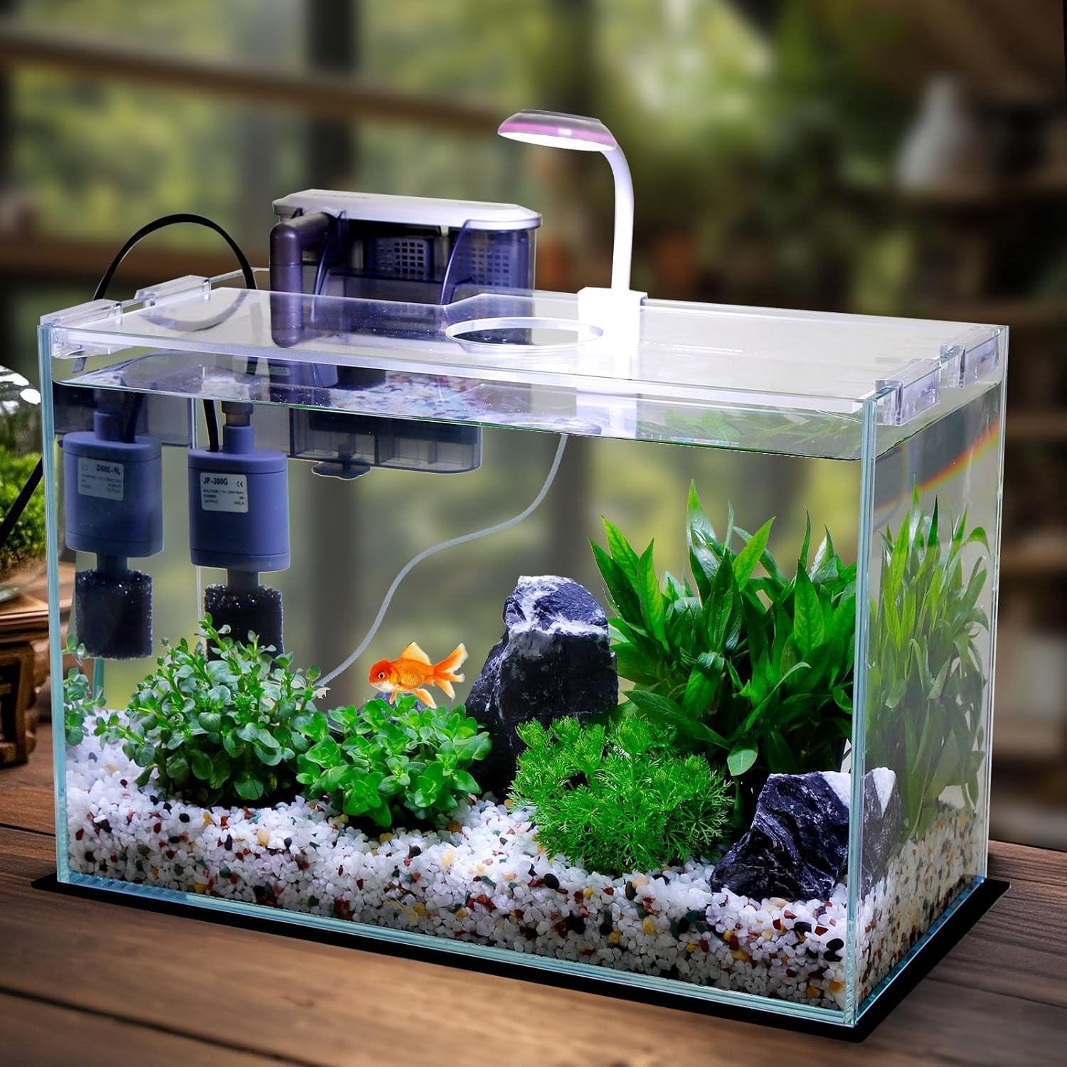 3 Gallon Glass Fish Tank with Filter Light and Lid, Aquarium Starter Kit