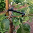 thumbnail image 4 of OHOIOLLA 20Ud Espalderas Para Ramas De Árboles Frutales Negras Diseñadas Para Entrenamiento Y Crecimiento Eficaz, 4 of 8