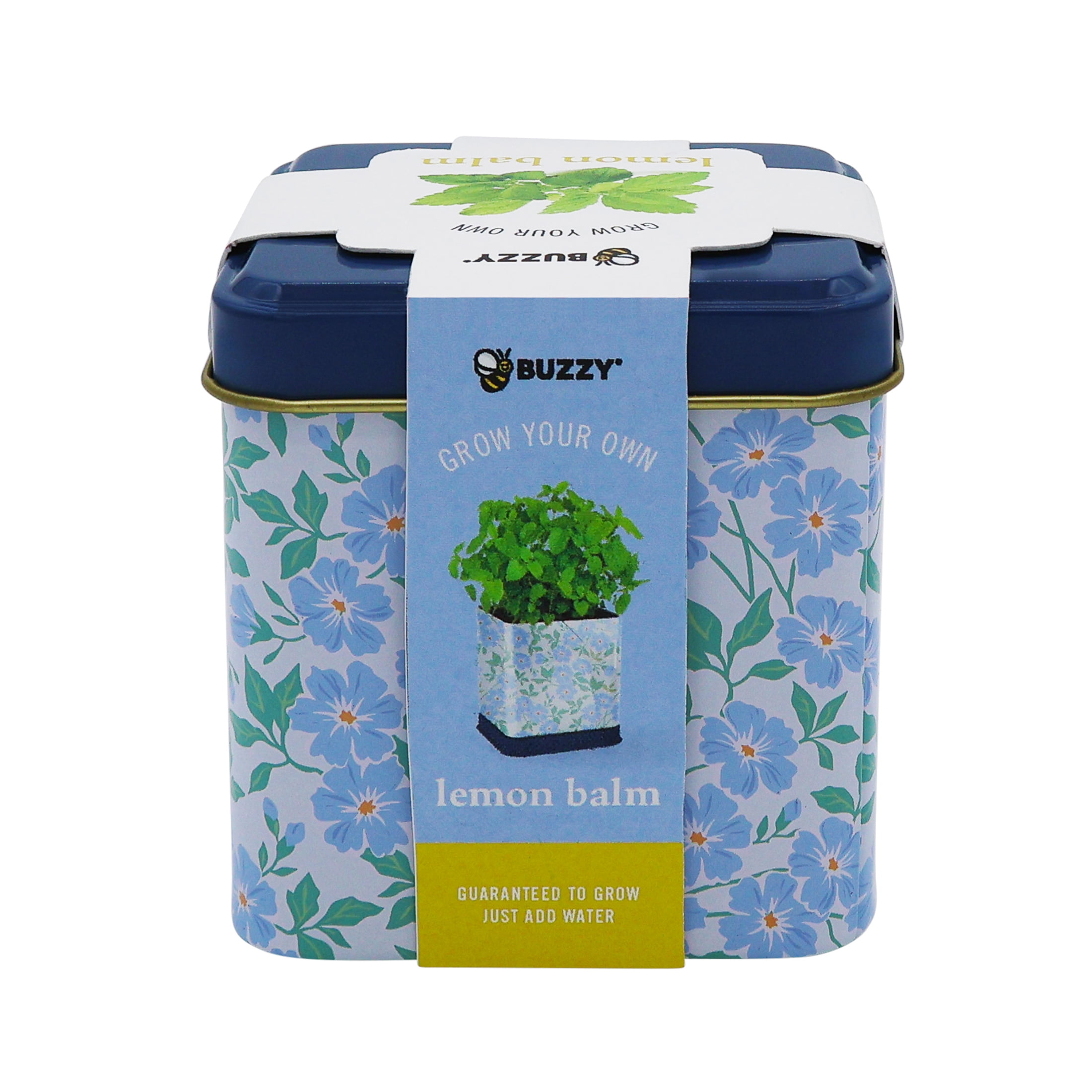 Buzzy Lemon Balm Herb Grow Kit with Decorative Floral Tin