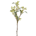 thumbnail image 1 of Bouclair Fleur Artificielle Blanche, 1 of 7