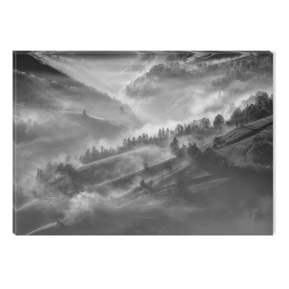 Startonight Canvas Wall Art Black and White Abstract Fog and Trees Country Landscape, Dual View Surprise Artwork Modern Framed Ready to Hang Wall Art 100% Original Art Painting 23.62 X 35.43 inch