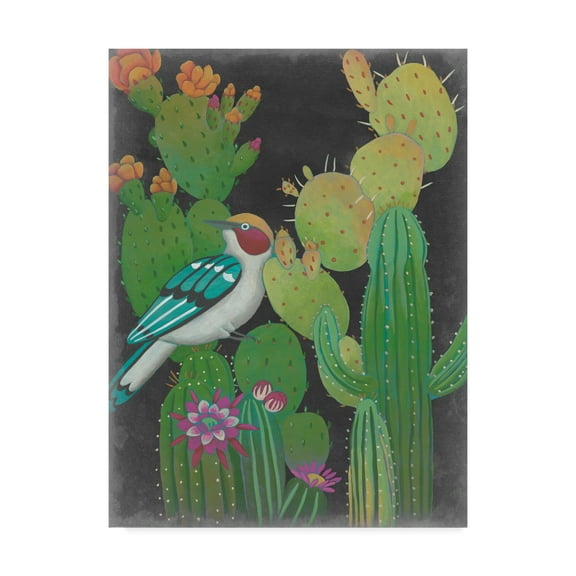 Trademark Fine Art 'Desert Twilight II' Canvas Art by Chariklia Zarris