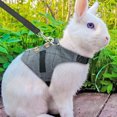 thumbnail image 4 of Rabbit Vest Adjustable Cute Bunny Vest Rabbit Harness Pet Harness with Leash, 4 of 9