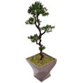 thumbnail image 2 of Vintage Home Artificial Faux Real Touch 68.5" Tall Yacca Tree Indoor Outdoor And Planter, 2 of 2