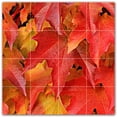 thumbnail image 1 of Picture-Tiles.com: Autumn Ceramic Tile Wall Mural WAL500027-44S. 17"W x 17"H using (16) 4.25" x 4.25" Ceramic Tiles-Satin Finish, 1 of 3