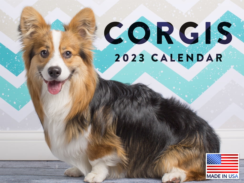 Corgi Calendar 2023 Monthly Wall Hanging Calendars Cute Funny Corgis